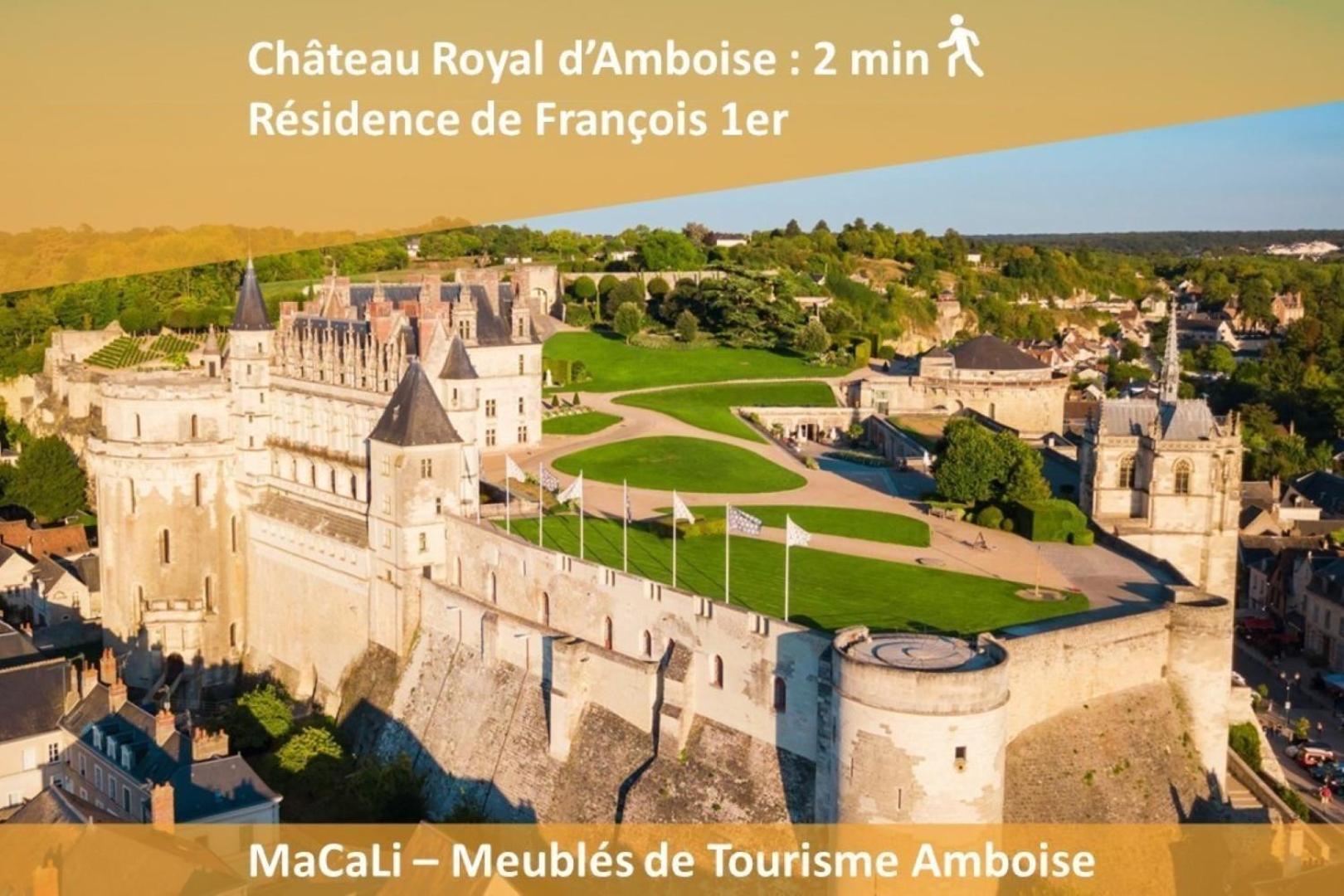 Terrasse Sur La Tour Garconnet Apartman Amboise Kültér fotó